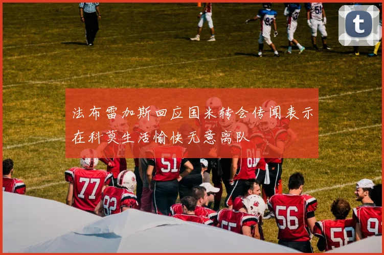 法布雷加斯回应国米转会传闻表示在科莫生活愉快无意离队