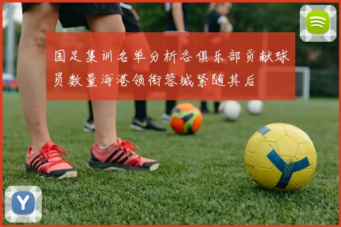 国足集训名单分析各俱乐部贡献球员数量海港领衔蓉城紧随其后